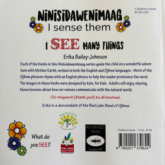 Ninisidawenimaag - I See Many Things (Book 1)