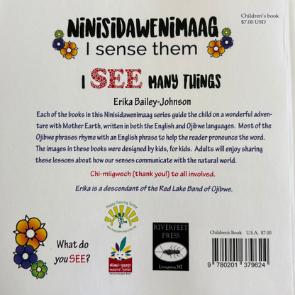 Ninisidawenimaag - I See Many Things (Book 1)