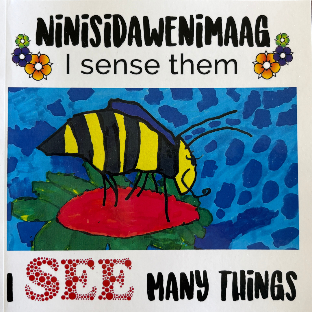 Ninisidawenimaag - I See Many Things (Book 1)